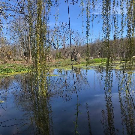 La Barcelle, Une Pause Nature. Perrigny  Εξωτερικό φωτογραφία