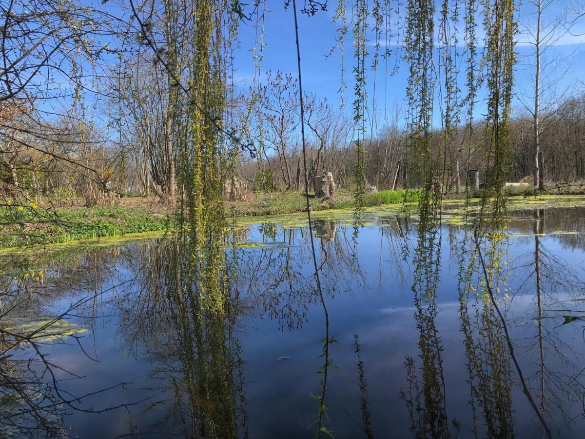 La Barcelle, Une Pause Nature. Perrigny  Εξωτερικό φωτογραφία